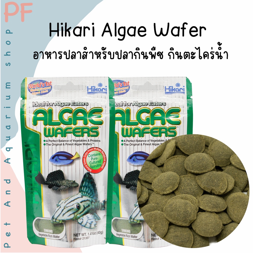 Hikari Algae Wafer อาหารปลา สำหรับปลากินพืช กินตะไคร่น้ำ