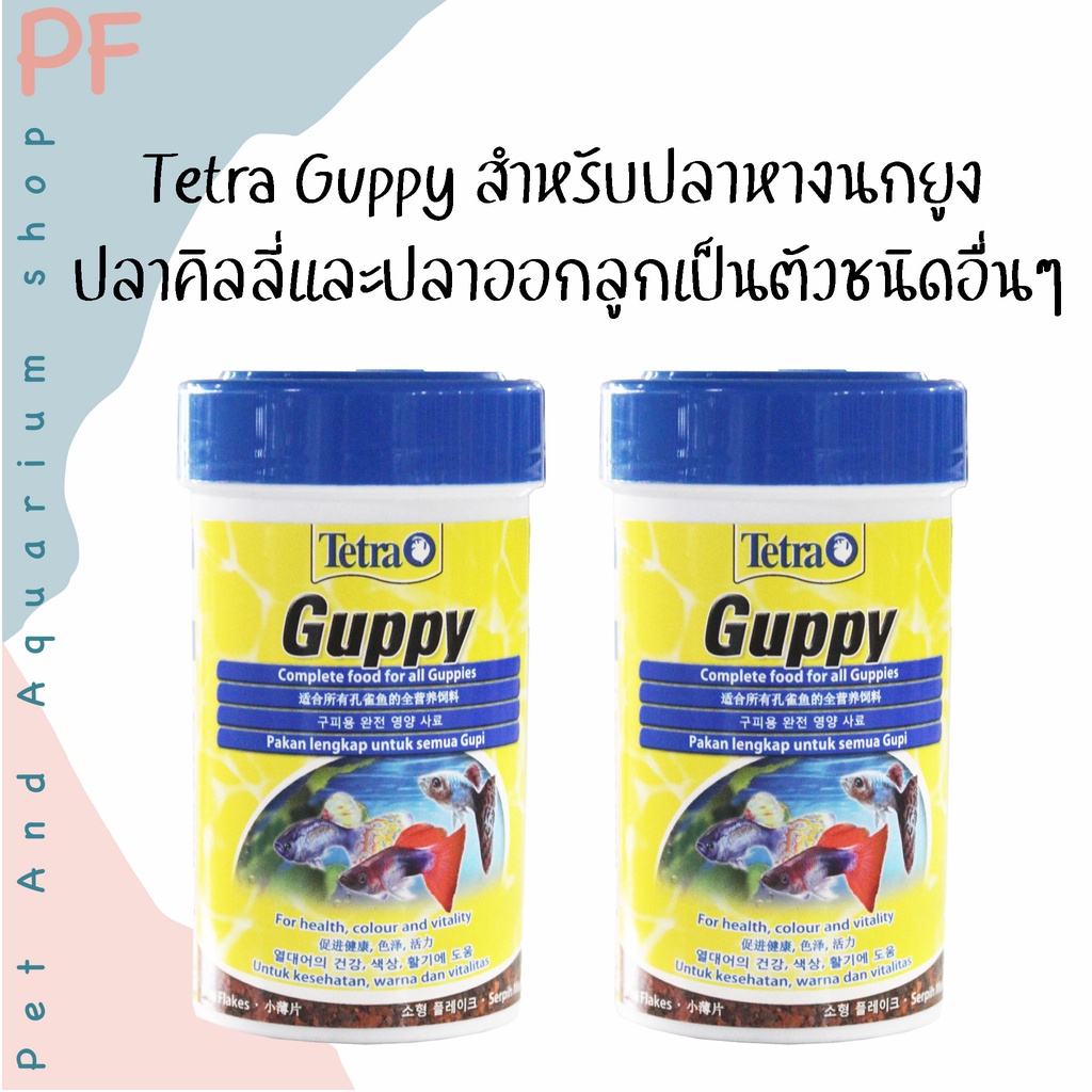 Tetra Guppy สำหรับปลาหางนกยูง ปลาคิลลี่และปลาออกลูกเป็นตัวชนิดอื่นๆ