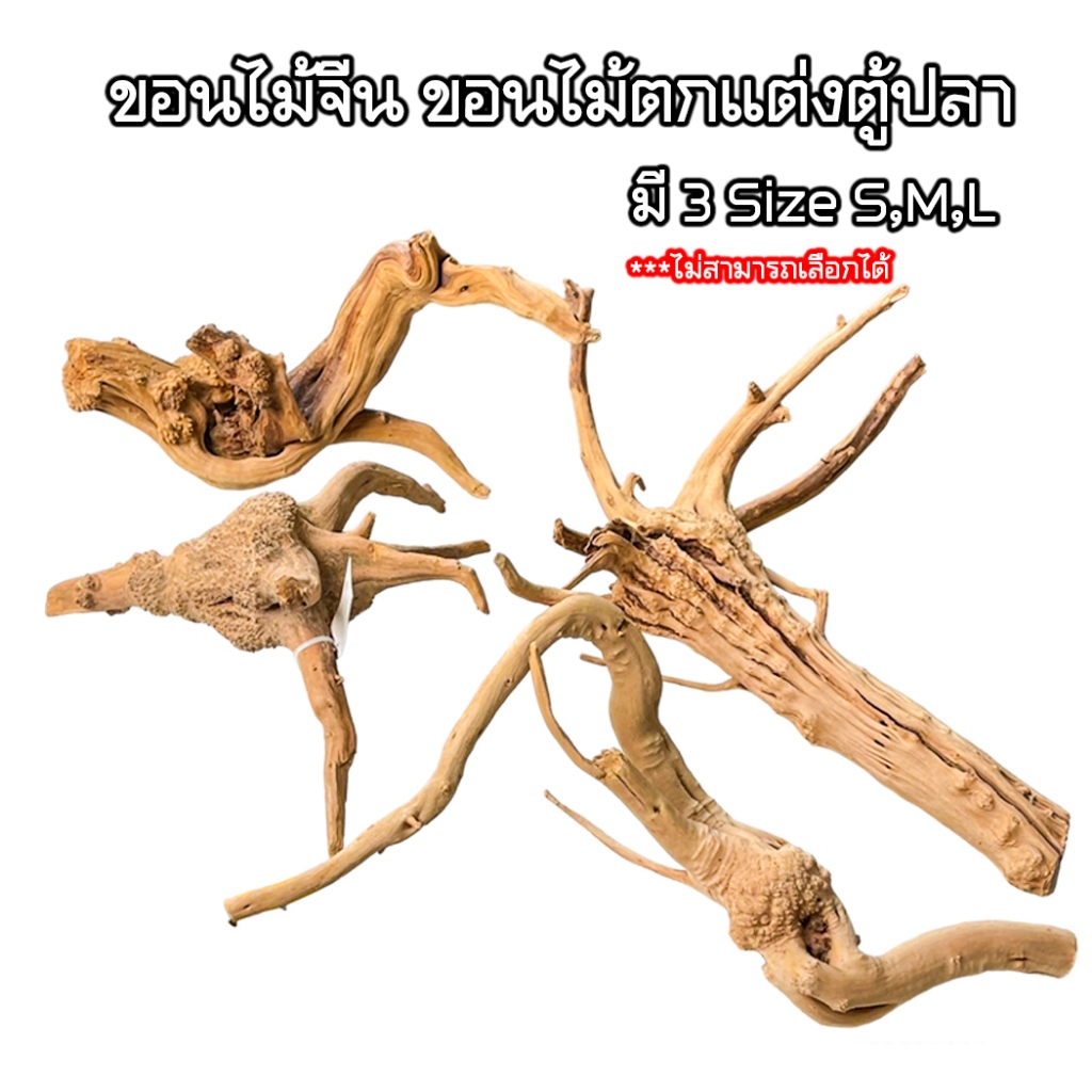 ขอนไม้จีน รากไม้ เศษไม้ Driftwood Natural Wood Root ตู้ไม้น้ำ ตู้ปลา บอนไซ 3 Size S,M,L