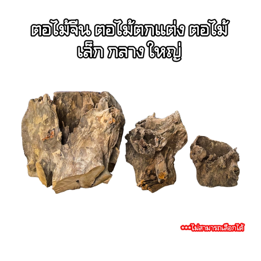 ตอไม้จีน ตอไม้ตกแต่ง ตอไม้ มี3ขนาด เล็ก กลาง ใหญ่ขอนไม้ รากไม้ เศษไม้ Driftwood Natural Wood Root ตู้ไม้น้ำ ตู้ปลา บอนไซ