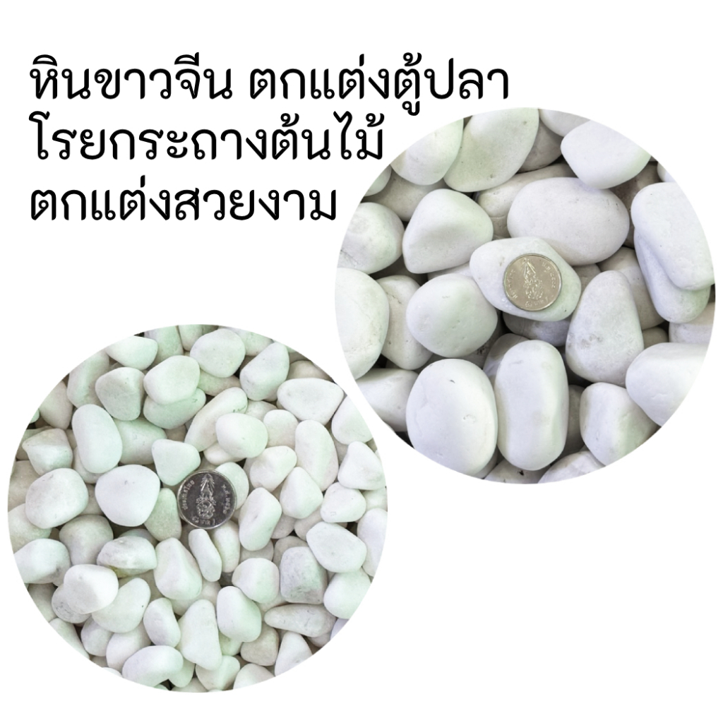 หินขาวจีน ตกแต่งตู้ปลา ตกแต่งโรยกระถางต้นไม้สวยงาม กิโลละ 40บาท